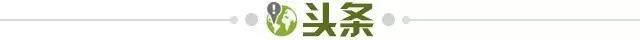6d3c943a-22cf-4e1d-9e27-86928cfb5b5d.jpg@!img01